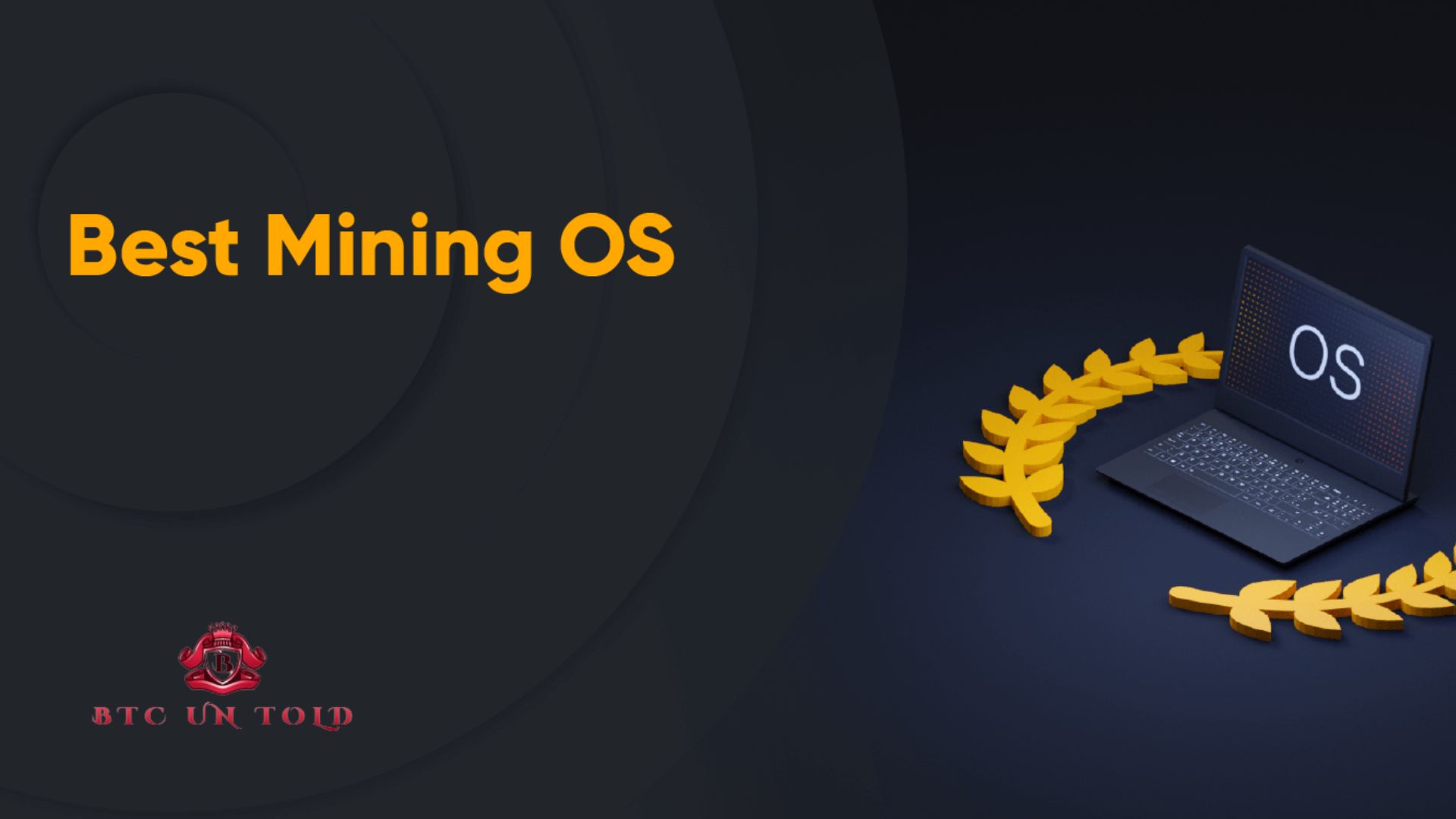 Install the Operating System and Mining Software