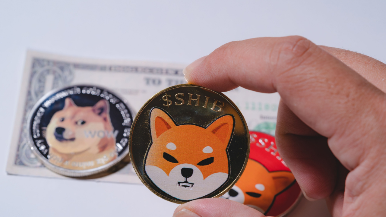 SHIB Token Scarcity