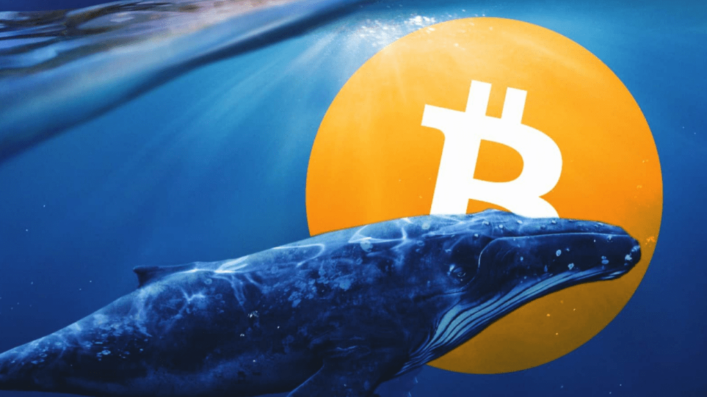 Bitcoin Supply Distribution Whales vs Retail Investors