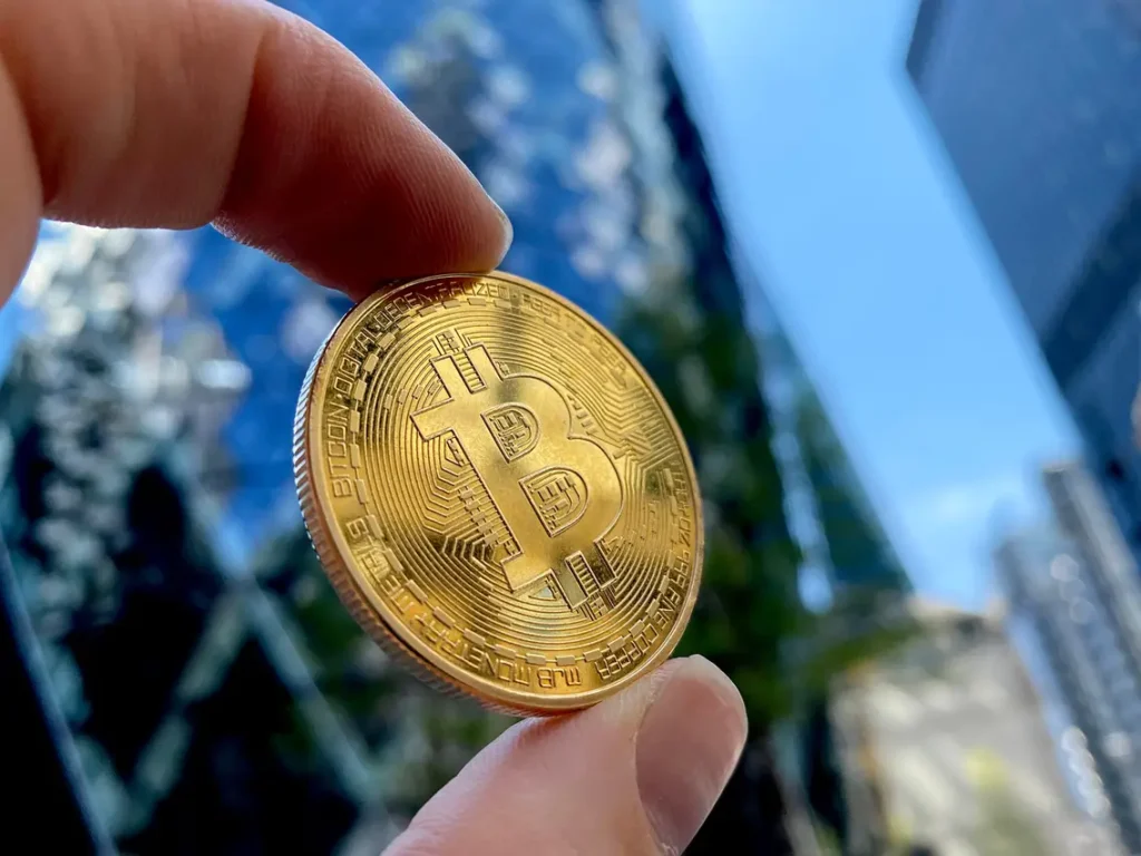 Retail Influence on Bitcoin Stability