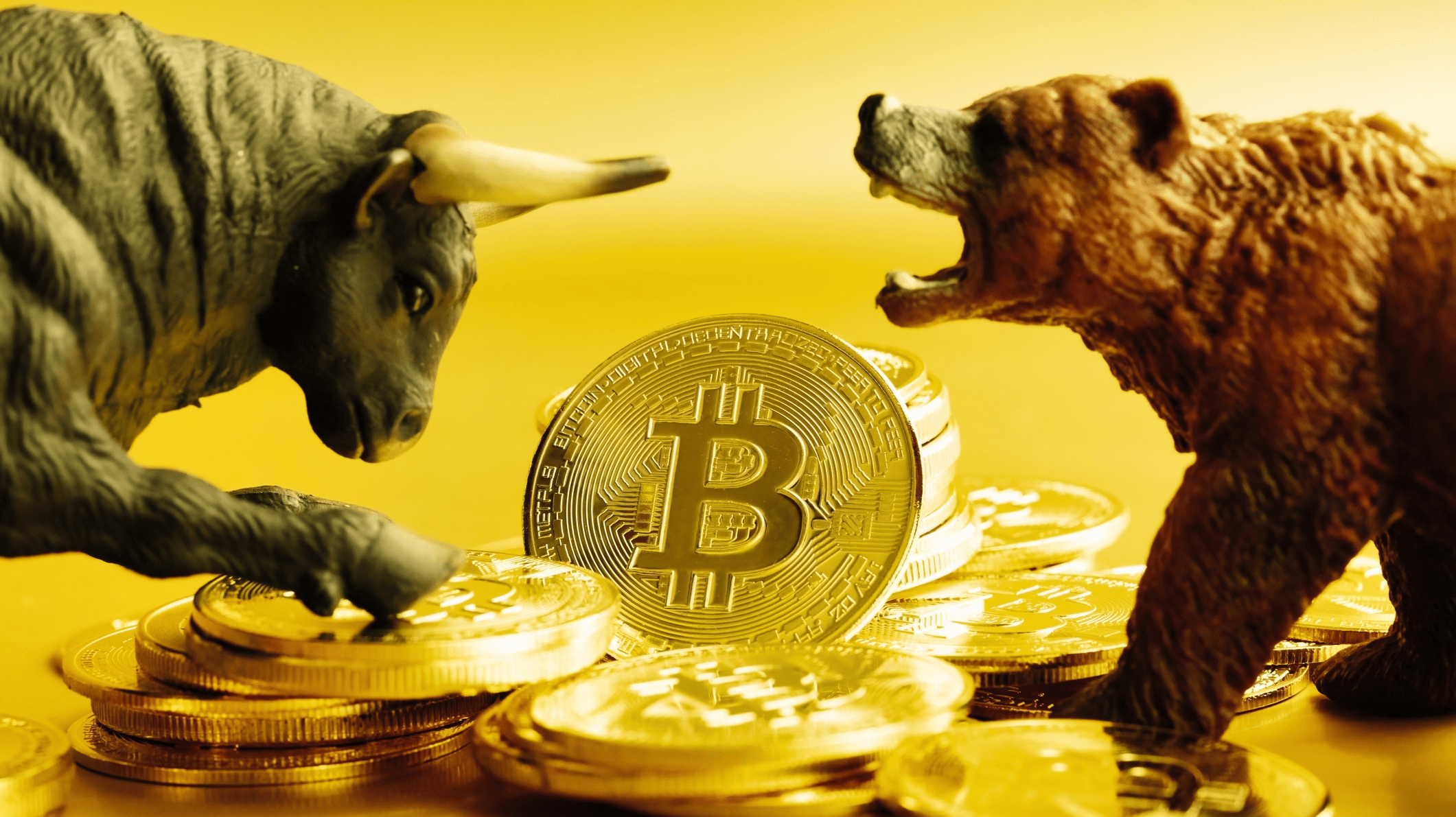 Bitcoin’s Bearish Signals and Support Levels