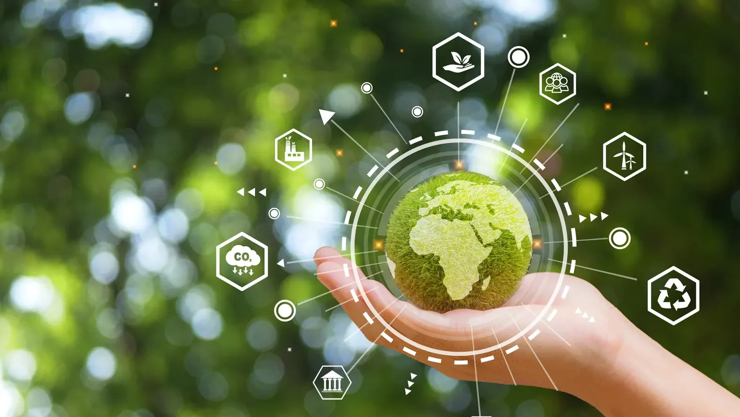 Environmental and Sustainability Factors