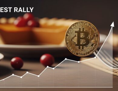 Bitcoin in Modest Rally Mode After Thanksgiving