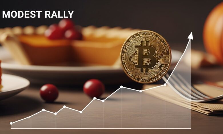 Bitcoin in Modest Rally Mode After Thanksgiving