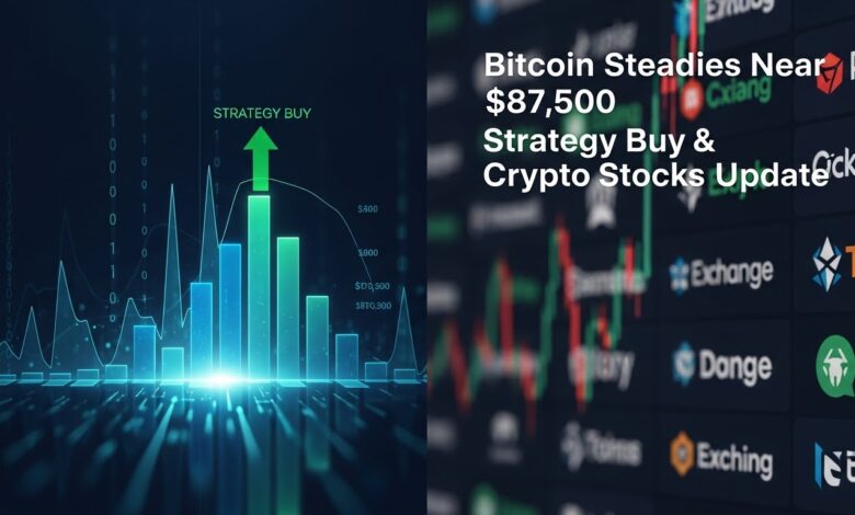 Bitcoin steadies near $87,500