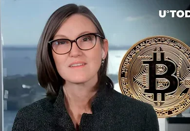 Cathie Wood Bitcoin gold prediction